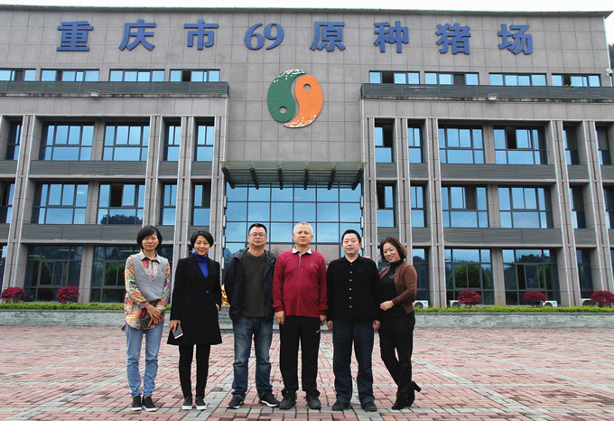 國家生豬產(chǎn)業(yè)技術(shù)體系首席科學(xué)家陳瑤生教授、壹號土豬總裁黎小兵蒞臨69指導(dǎo)交流